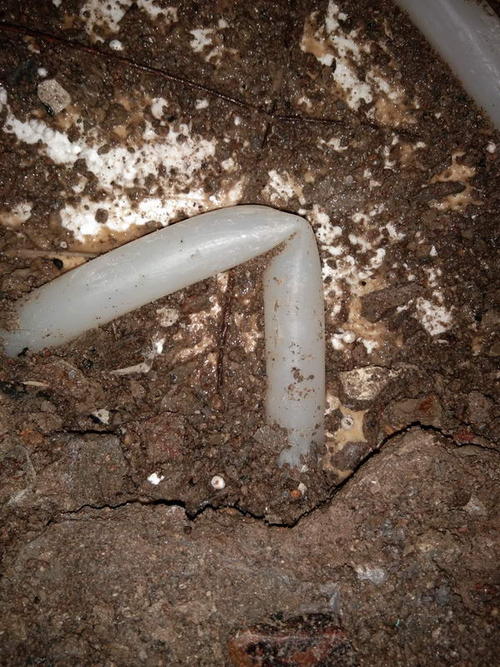 花垣堵点精准查找